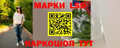 шишки Донской