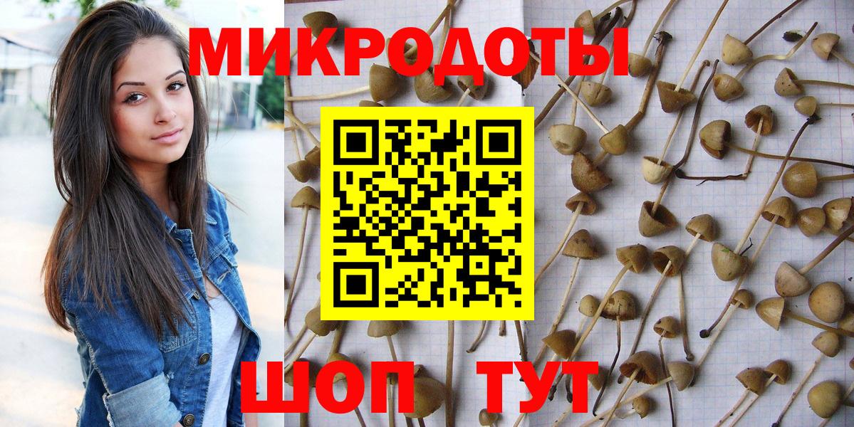 Корсаков  Галлюциногенные грибы ЛСД  Галлюциногенные грибы GOLDEN TEACHER  Вход с VPN 